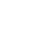 Icona WhatsApp SD consulenze